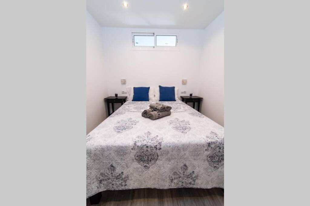 Los Molinos Apartment Ocean View 普拉亚戴尔雷安格莱斯 外观 照片